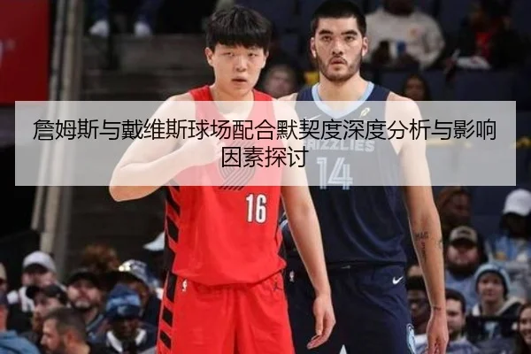 詹姆斯与戴维斯球场配合默契度深度分析与影响因素探讨